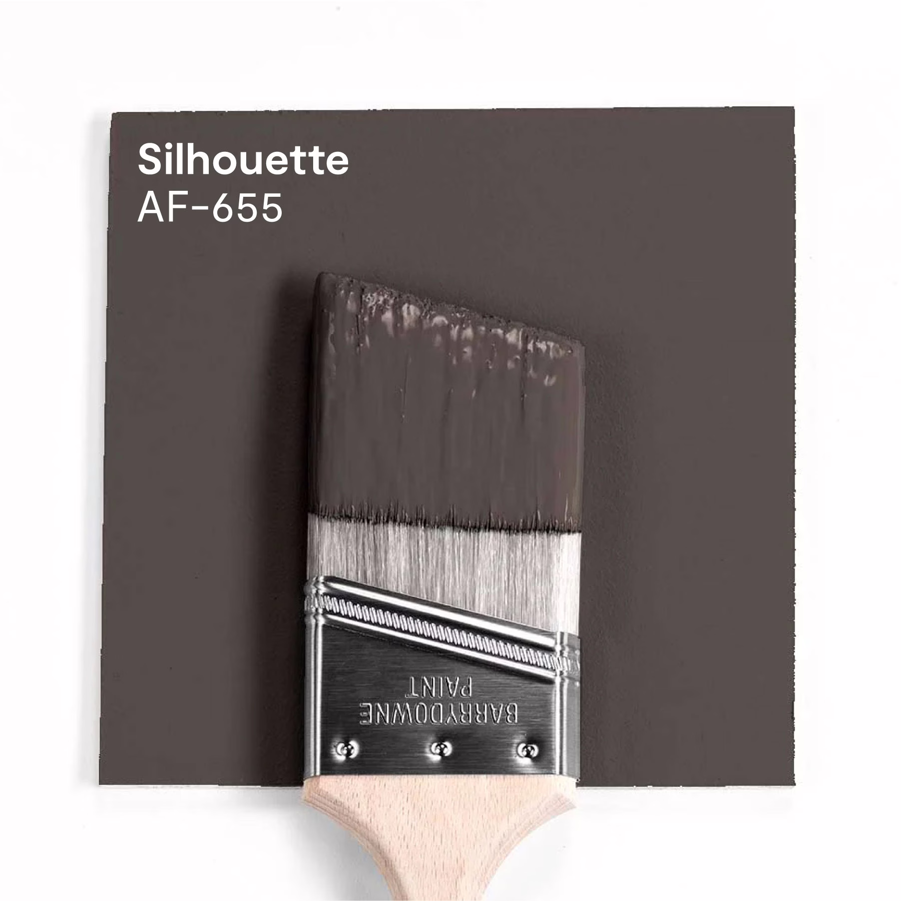 benjaminmoore-color-trends-2026-silhouette สีน้ำตาลเข้ม Silhouette AF-655 เฉดสีประจำปี 2026 จาก Benjamin Moore แต่งบ้านสวยลงตัว