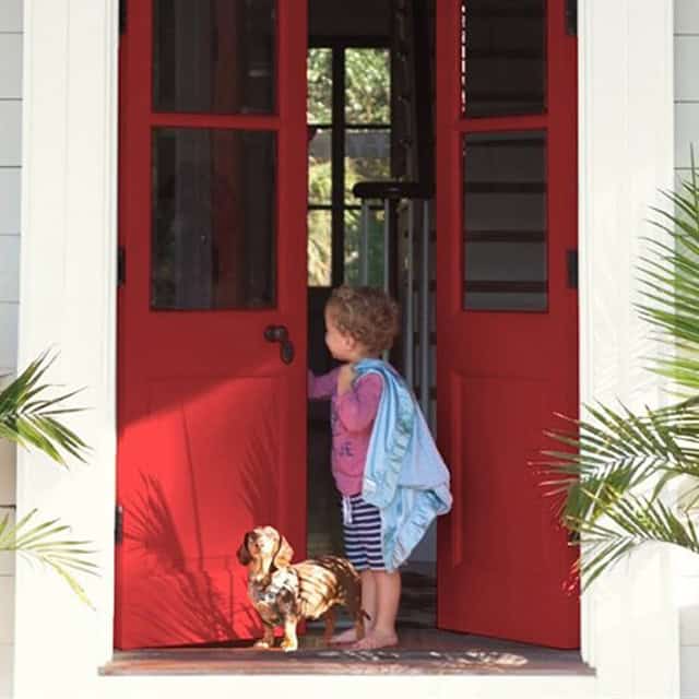 ไม่ซีด ไม่ลอก ไม่ซีด ไม่ลอก