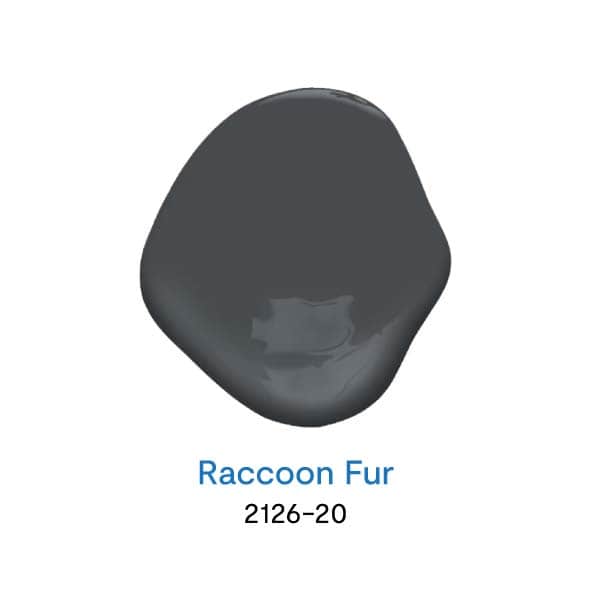 Raccoon Fur 2126-20 สีดำยอดนิยม จาก Benjamin Moore