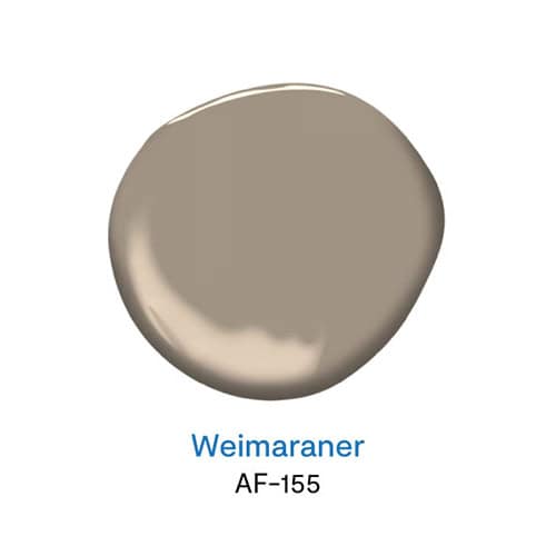 Weimaraner AF-155 สีน้ำตาลเทายอดนิยม จาก Benjamin Moore
